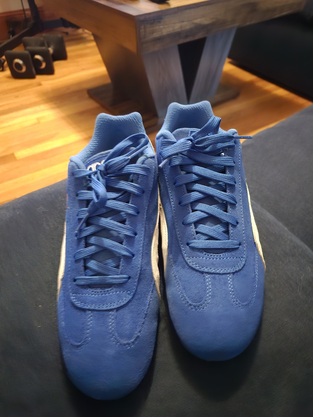 Puma Men's Royal Blue Suede Low-Top Sneakers